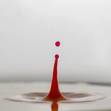 Red drop in milk Stock Photos
