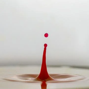 Red drop in milk Stock Photos