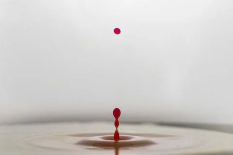 Red drop in milk Stock Photos