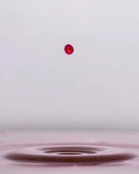 Red drop in milk Stock Photos