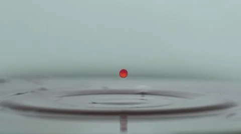 Red drop in milk Stock Photos