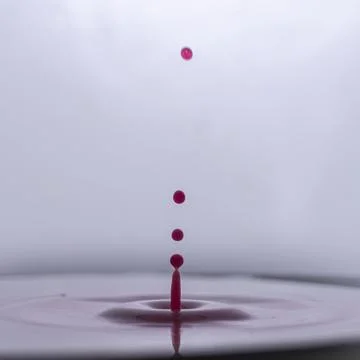 Red drop in milk Stock Photos