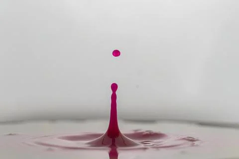 Red drop in milk Stock Photos