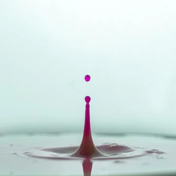 Red drop in milk Stock Photos