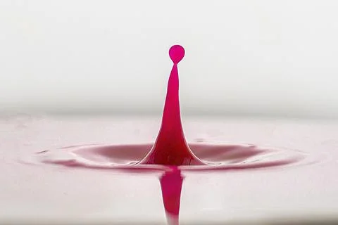 Red drop in milk Stock Photos