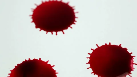 Red drops Stock-Footage 34370203