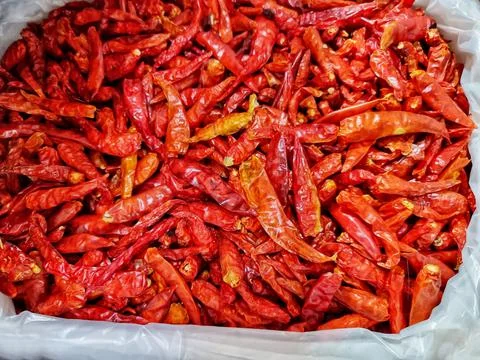 Red dry chilli pepper Stock Photos