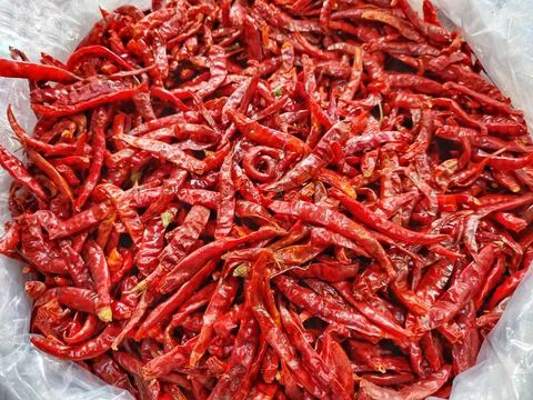Red dry chilli pepper Stock Photos