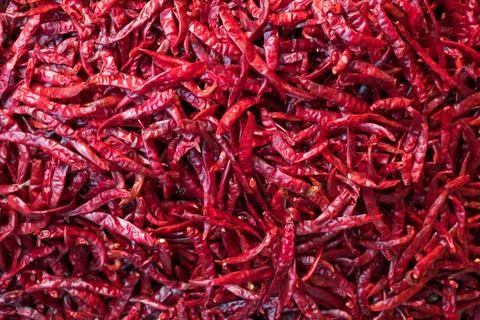 Red dry chilli Stock Photos