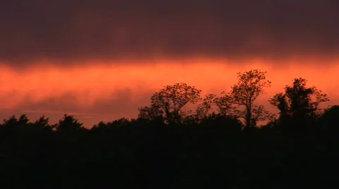 Red Dusk through trees 動画素材 580762