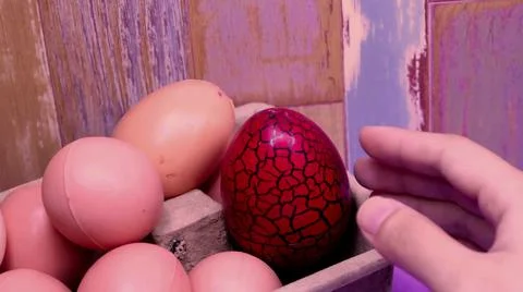 RED EAG Stock Photos