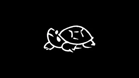 Red-Eared Slider Turtle Icon Stock Footage 345593834