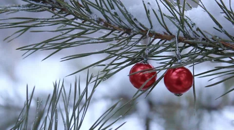 Red earrings Stock Footage 35241939