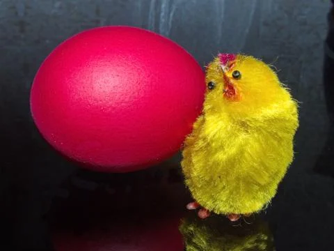 Red Easter egg and a cute little yellow chick. Stock Photos