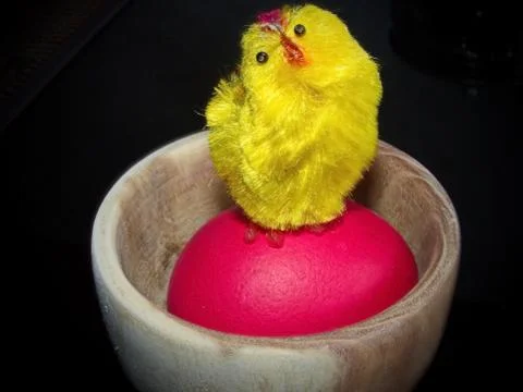Red Easter egg and a cute little yellow chick. 写真素材