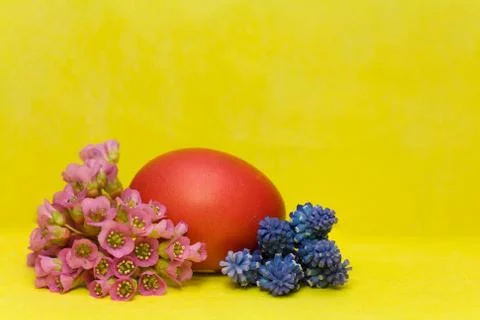 Red Easter egg with bergenia and hyacinth Stock Photos