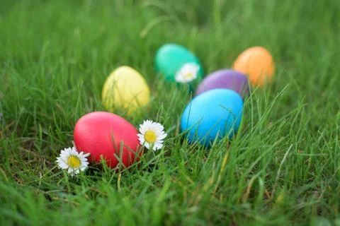 Red Easter egg in a grass Stock Photos