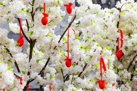 Red easter egg hanging on a tree Stock Photos