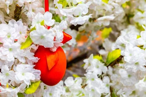 Red easter egg hanging on a tree. Stock Photos