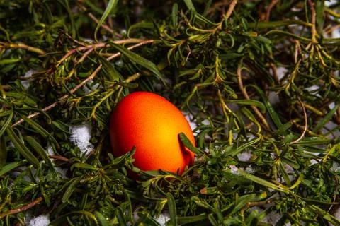Red easter egg hidden in grass with snow egg hunting Stock Photos