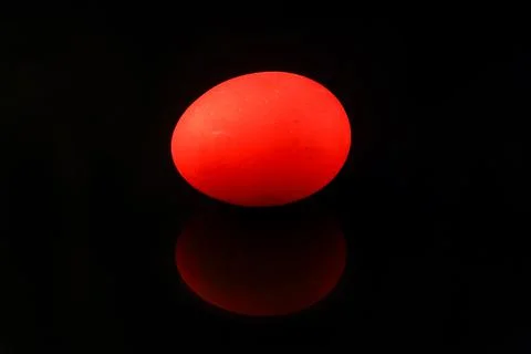 Red easter egg isolated on white background Stock Photos