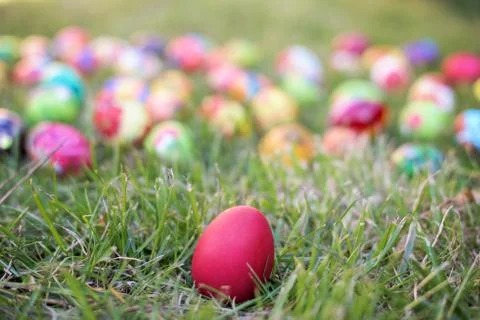 Red Easter egg Stock Photos