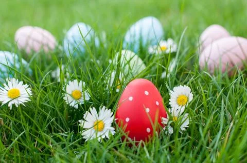 Red Easter egg Stock Photos