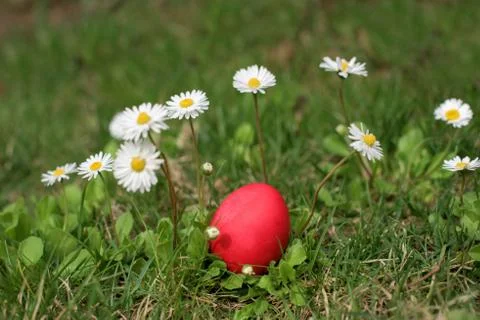 Red easter egg Foto stock