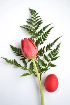 Red easter egg, tulip and fern on a white background Foto stock