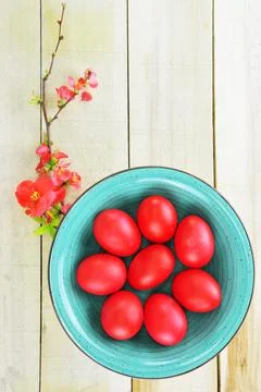 Red Easter egg on turquoise bowl and a small branch of flowering quince Stock Photos