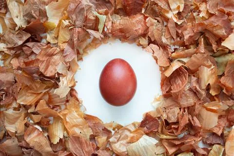 Red Easter egg on a white background in the onion husk top view. Stock Photos