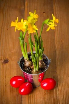 Red easter eggs and yellow daffodils Stock Photos
