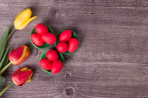 Red Easter eggs on green nest and colorful tulips Stock Photos