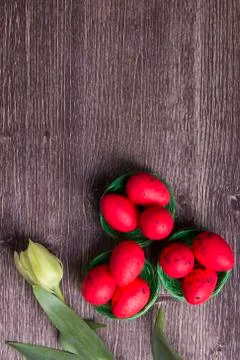 Red Easter eggs on green nest and tulip Foto stock