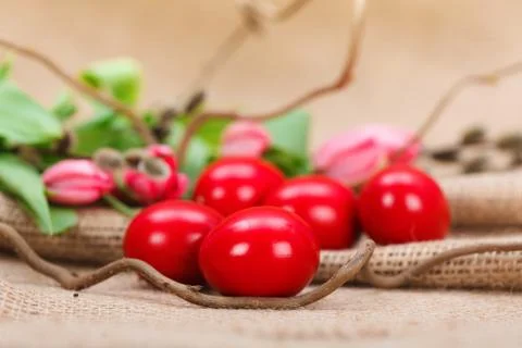 Red easter eggs Stock Photos