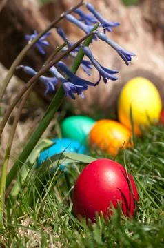 Red egg Stock Photos