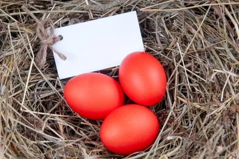 Red eggs with a note in the hay. Mock up, concept easter. Stock Photos