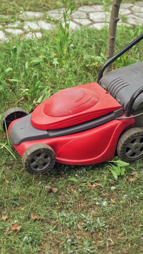 Red electric lawn mower cutting green grass around small tree in backyard g.. Stock Footage 337482406
