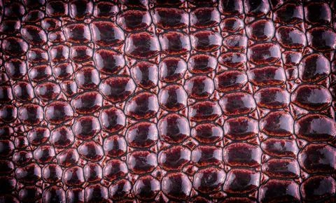 Red elegance leather texture for background with visible details Stock Photos