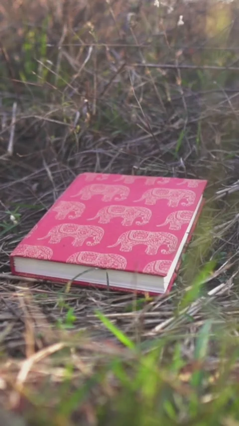 Red elephant-patterned notebook on grass, close-up view in serene outdoor Stock Footage 306376655