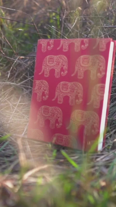 Red elephant print journal Stock Footage 308227583