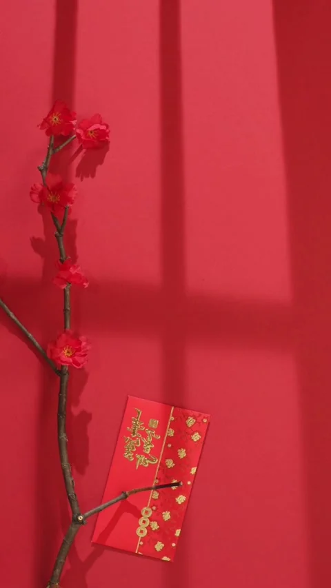 Red envelope and blossoms on red for New Year Stock Footage 331773012