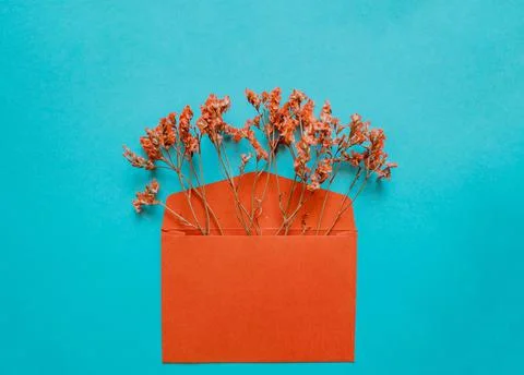 Red envelope with red flowers inside on a blue background. Stock Photos