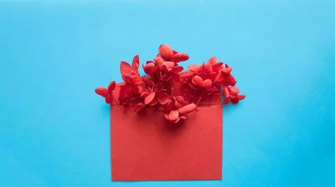 Red envelope with red flowers inside on a blue background. Stock Photos