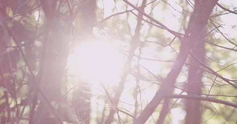 RED epic  4K Video stock 75308586