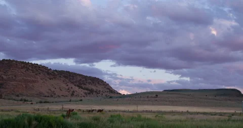 RED Epic- Rancher at Sunset Stock Footage 142292232