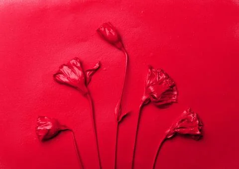 Red eustoma flower on a red paper background with drops of paint. Stock Photos