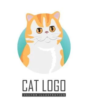Red Exotic Cat Vector Flat Design Illustration 스톡 일러스트