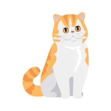 Red Exotic Cat Vector Flat Design Illustration 스톡 일러스트