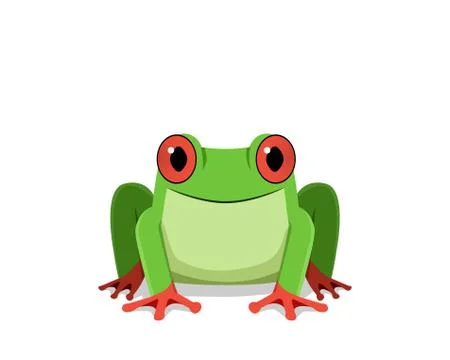 Red eye frog, Front view, vector Stock Illustration